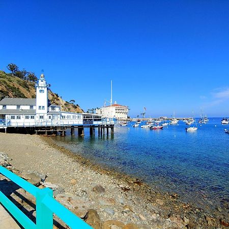 Lux Oceanfront Villa With Breathtaking Views Avalon Esterno foto
