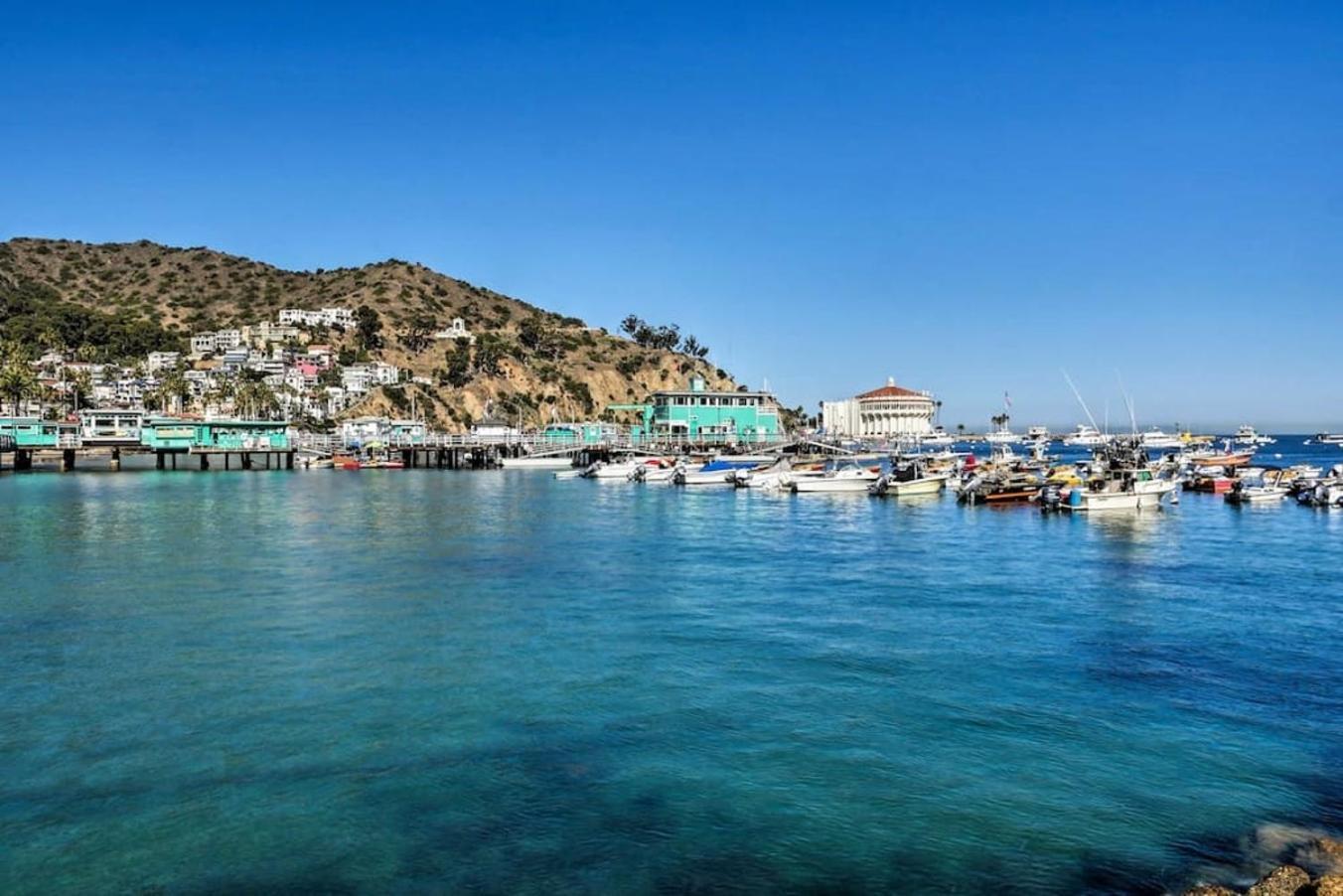 Lux Oceanfront Villa With Breathtaking Views Avalon Esterno foto