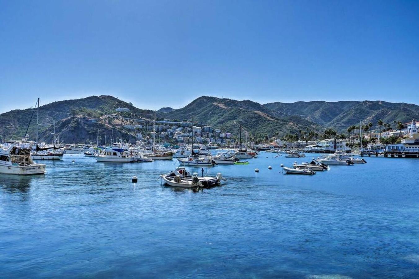 Lux Oceanfront Villa With Breathtaking Views Avalon Esterno foto